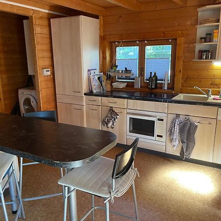 Ferienhaeuser An Den Orgelpfeifen Scheibenberg Exteriör bild