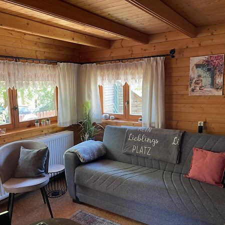 Ferienhaeuser An Den Orgelpfeifen Scheibenberg Exteriör bild